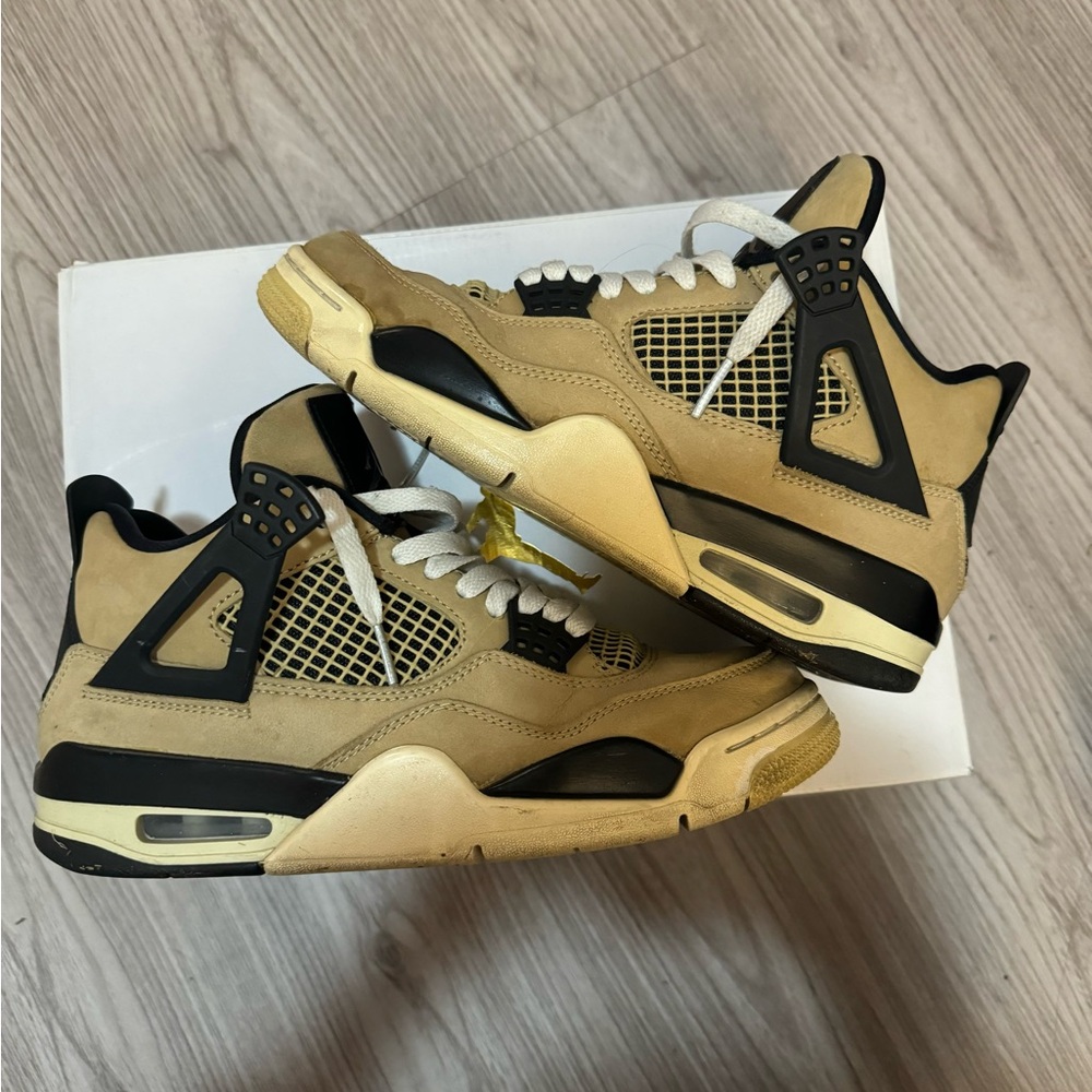 Mushroom Air Jordan Retro 4